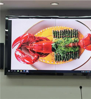 湖南岳陽(yáng)平江縣人民政府55寸0.88mm2X2